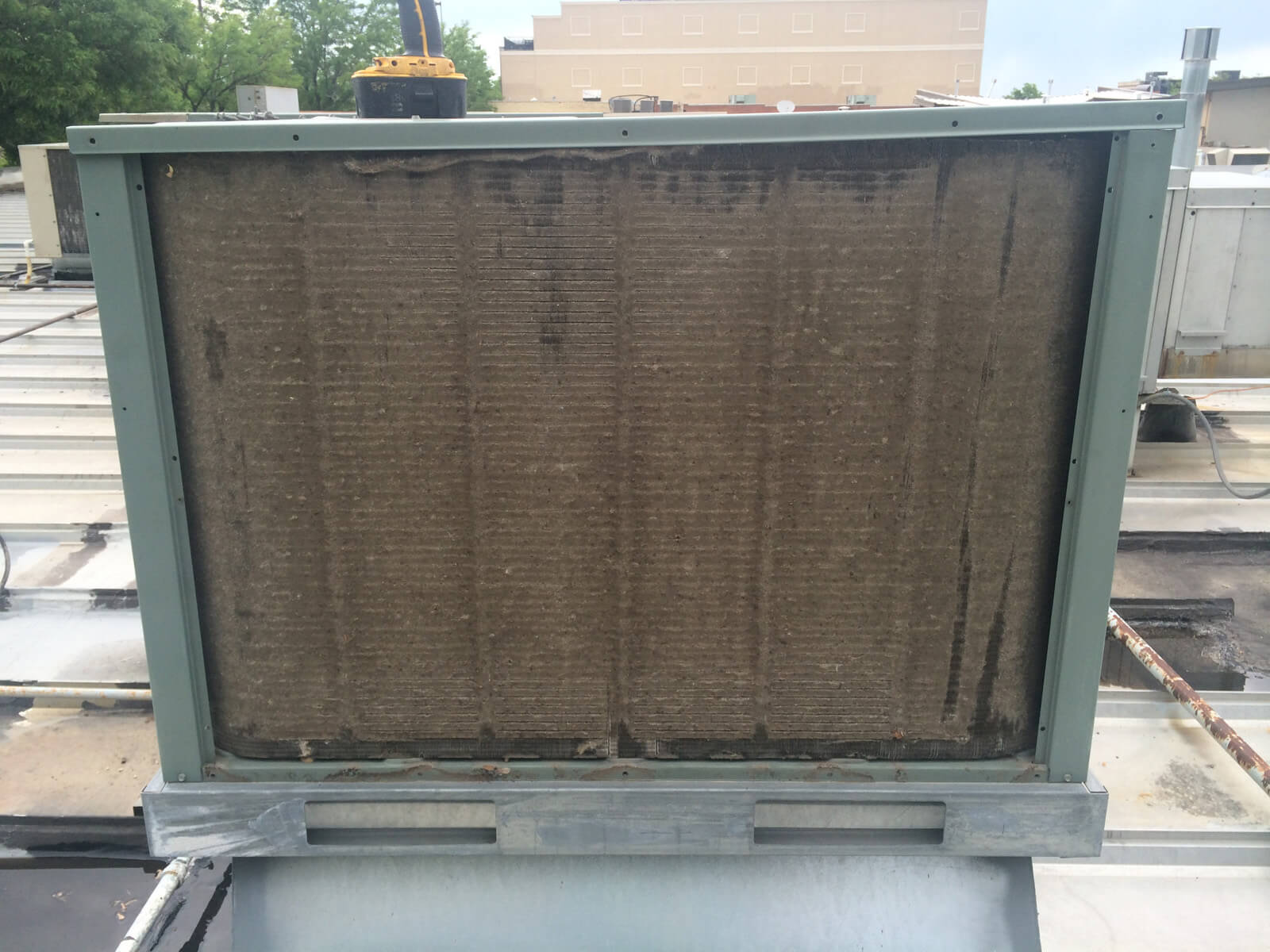 Condenser Coil Cleaning